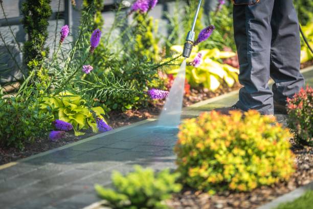 Best Spring Cleaning  in Gramercy, LA